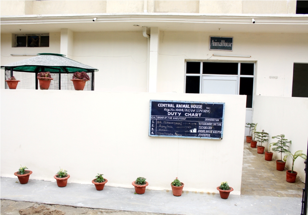 Library Image 1
