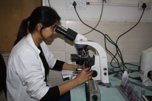 Library Image 1