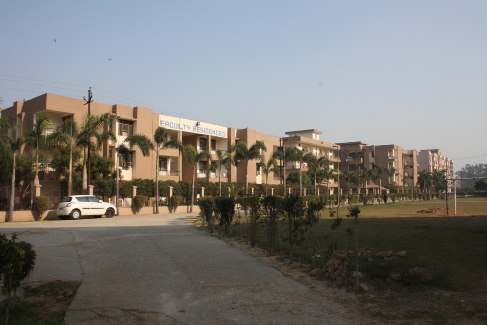 Library Image 1